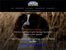 Tablet Screenshot of prairierosegundogs.com